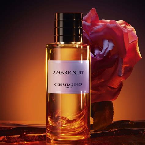 dior ambre nuit kaufen|ambre nuit dior price.